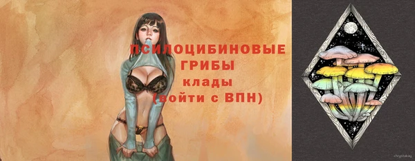 герыч Верхний Тагил
