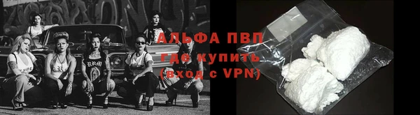 гидра Волоколамск