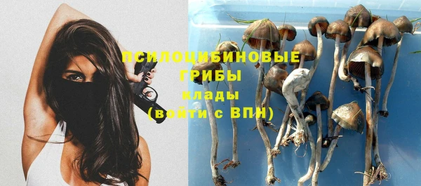 гидра Волоколамск