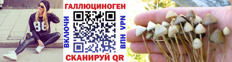 Галлюциногенные грибы ЛСД  ссылка на мегу ONION  Гусев  наркошоп 